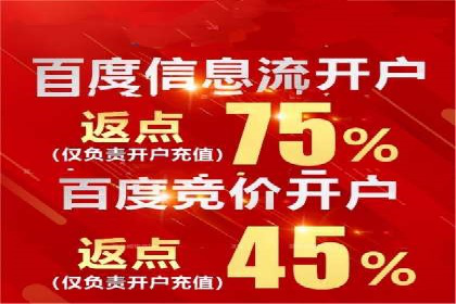 搜索引擎广告（SEM）在本地化推广中的运用案例